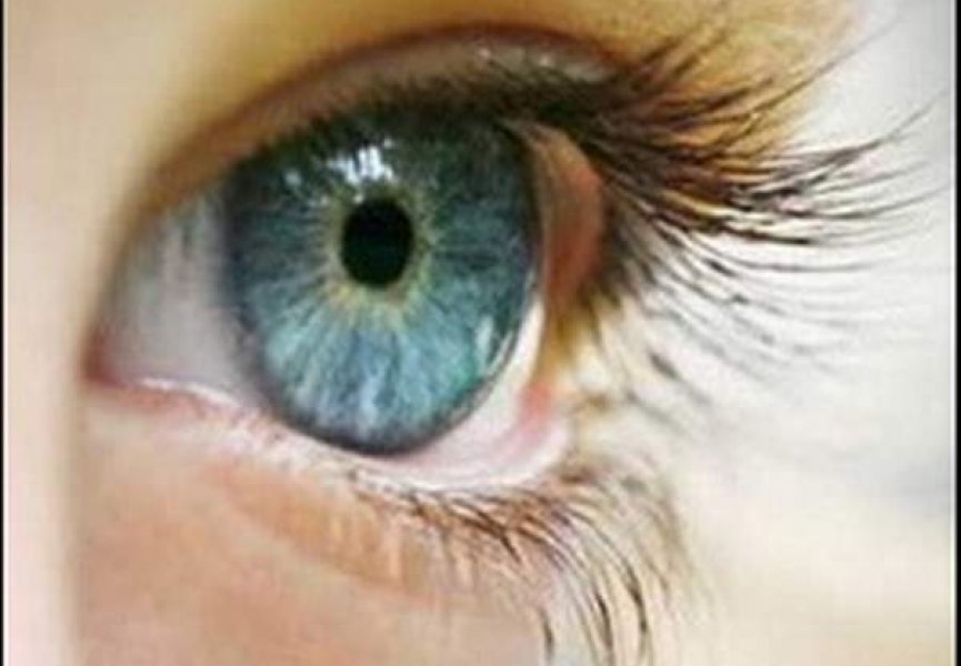Создан генетический метод определения цвета глаз преступника