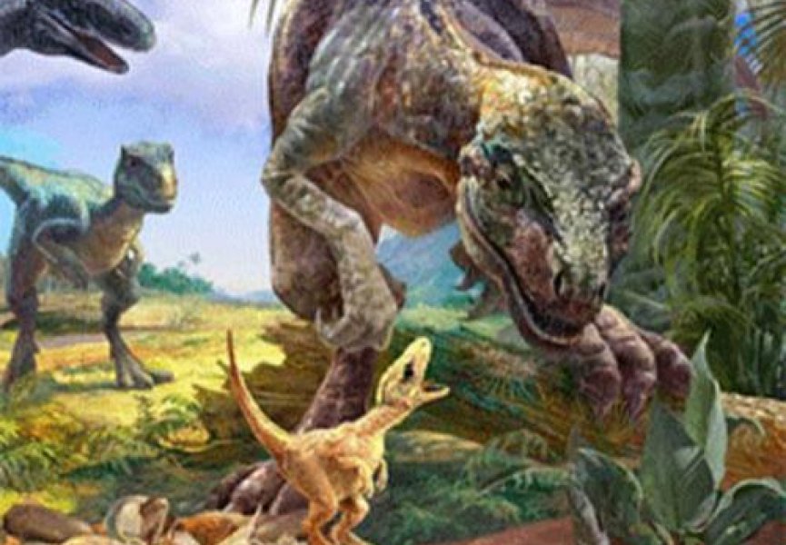 Окаменелости позволяют утверждать, что самцы динозавров были домоседами