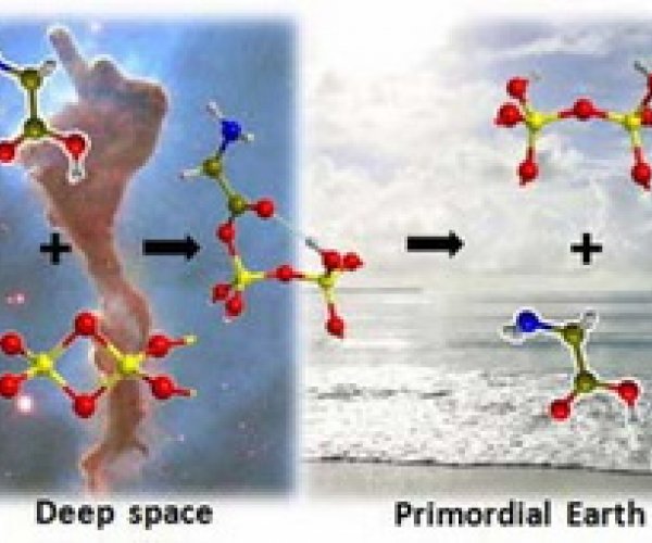 Жизнь на Землю могла прийти из космоса