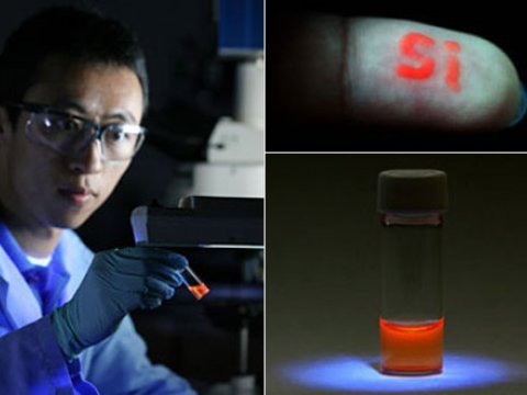 Созданы безопасные наночастицы для доставки лекарств