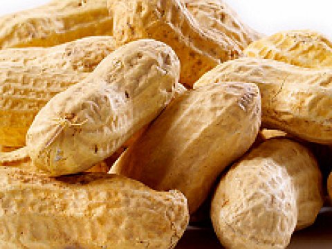 Американские ученые вывели сорт арахиса со сниженными аллергенными свойствами
