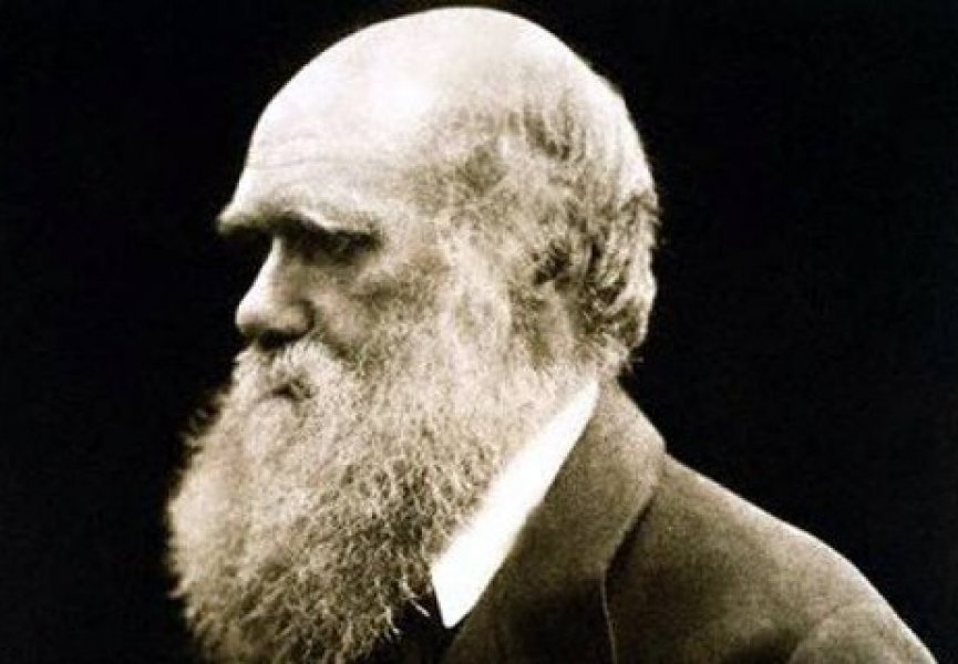 Ученый опроверг геологическую теорию Дарвина