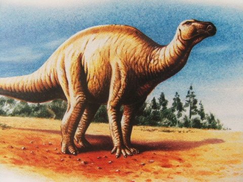 Динозавры вымерли за несколько часов