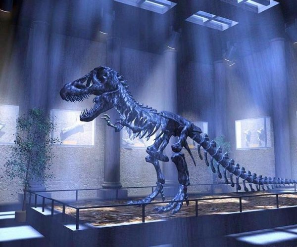 В Грузии найдены следы динозавров