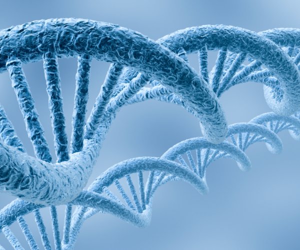 Открыты седьмое и восьмое основания ДНК