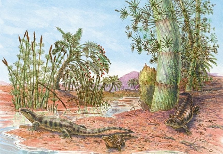 Обнаружены следы рептилий, возраст которых оценивается в 318 млн лет