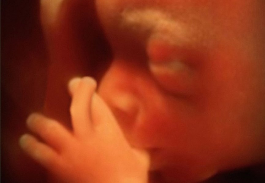 Эмбрионы испытывают эмоции с 17-ой недели беременности