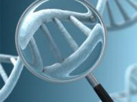 Ученые делают успехи в изучении генома гипертонии