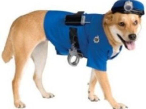 В Южной Корее клонируют уникальную полицейскую собаку