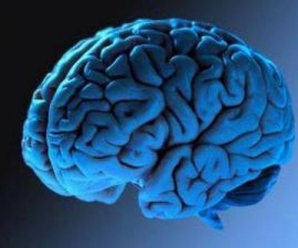 14 способов улучшить работу мозга