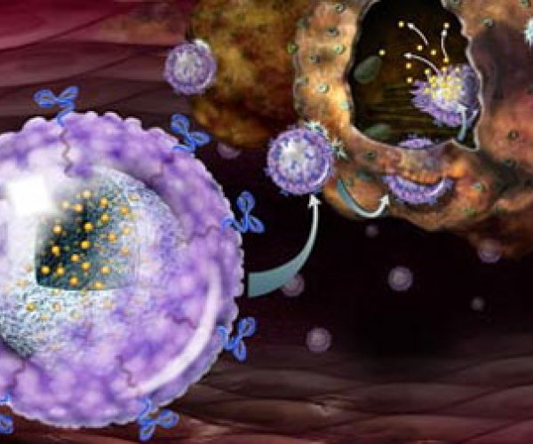 Наночастицы помогают от менингита и энцефалита