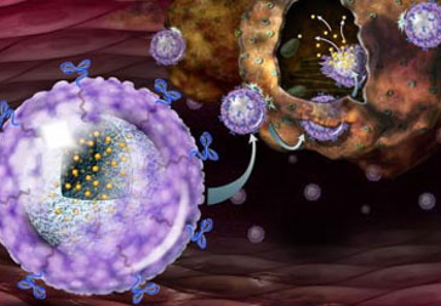 Наночастицы помогают от менингита и энцефалита