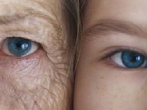 Открыт секрет старения кожи