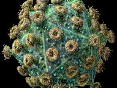 Вирусом СПИДа можно вылечить детей от редкого заболевания