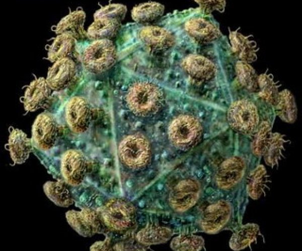 Вирусом СПИДа можно вылечить детей от редкого заболевания