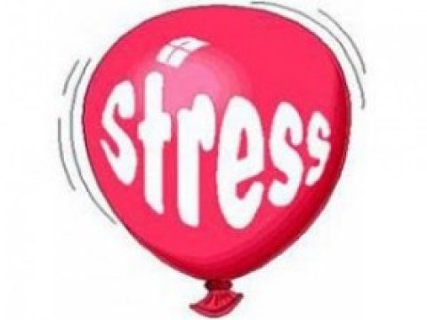 Стресс негативно сказывается на памяти человека