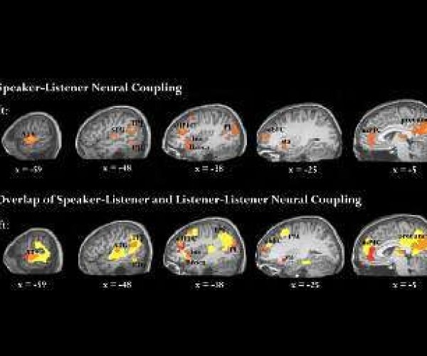 Активность мозга слушающего синхронизируется с активностью мозга говорящего