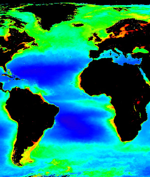 Распределение хлорофилла (показателя биомассы фитопланктона) по акватории Атлантического океана. Усредненная картина для года. Окрашенные в синий цвет центральные части океана наиболее бедны фитопланктоном. Более высокая концентрация показана зеленым цветом, еще более высокая — желтым, а самая высокая — оранжевым. Прибрежные районы всегда богаче биогенными элементами и, соответственно, фитопланктоном. По данным NASA. Часть карты с сайта www.nasa.gov